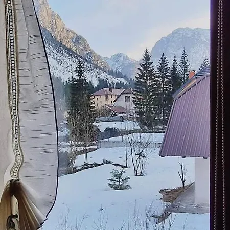 Predil *